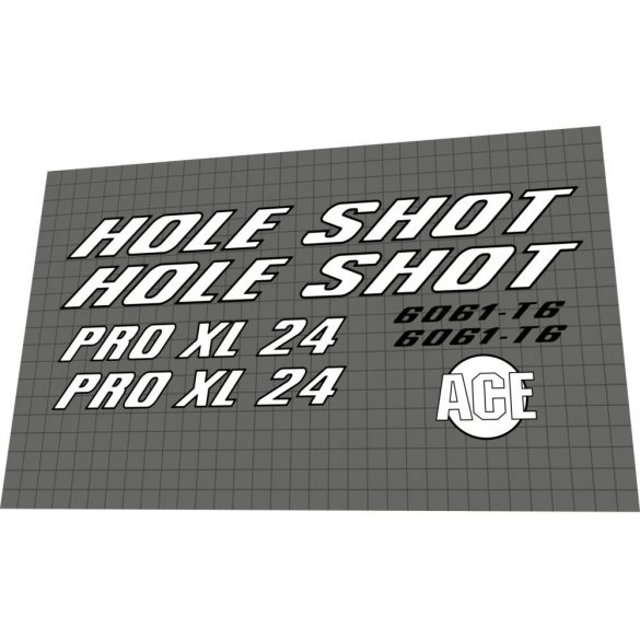 1995 Ace Hole Shot Pro XL24