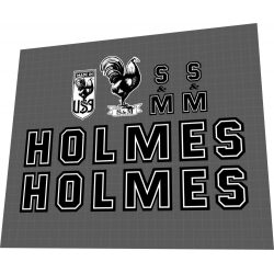 2009 S&M Holmes limited